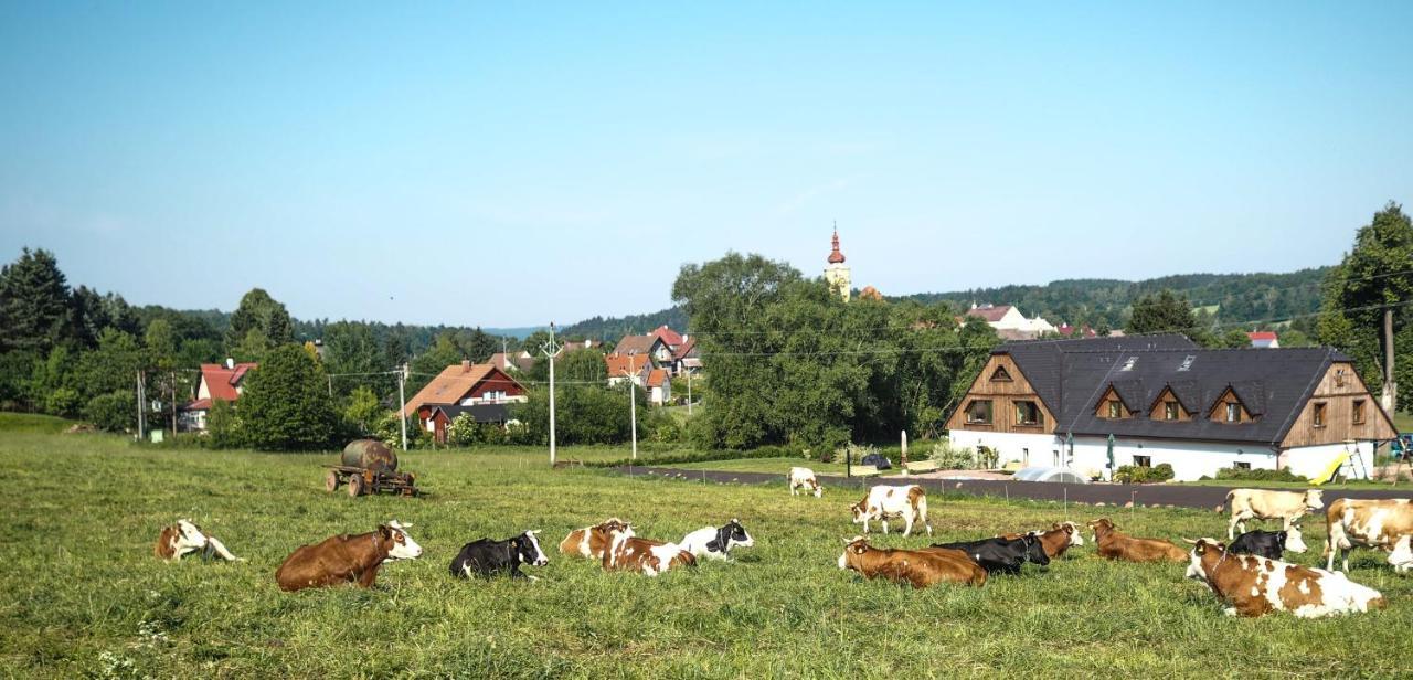Hotel Statek Pod Lipou Pilníkov Zewnętrze zdjęcie